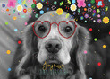 Chien joyeux en f&ecirc;te pour un anniversaire